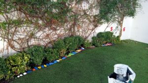 HUERTO ESCOLAR ARREGLO CEIP SAN BARTOLOME